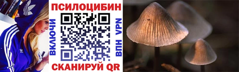 Псилоцибиновые грибы прущие грибы  Будённовск 
