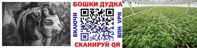 Канабис планчик наркотики Будённовск